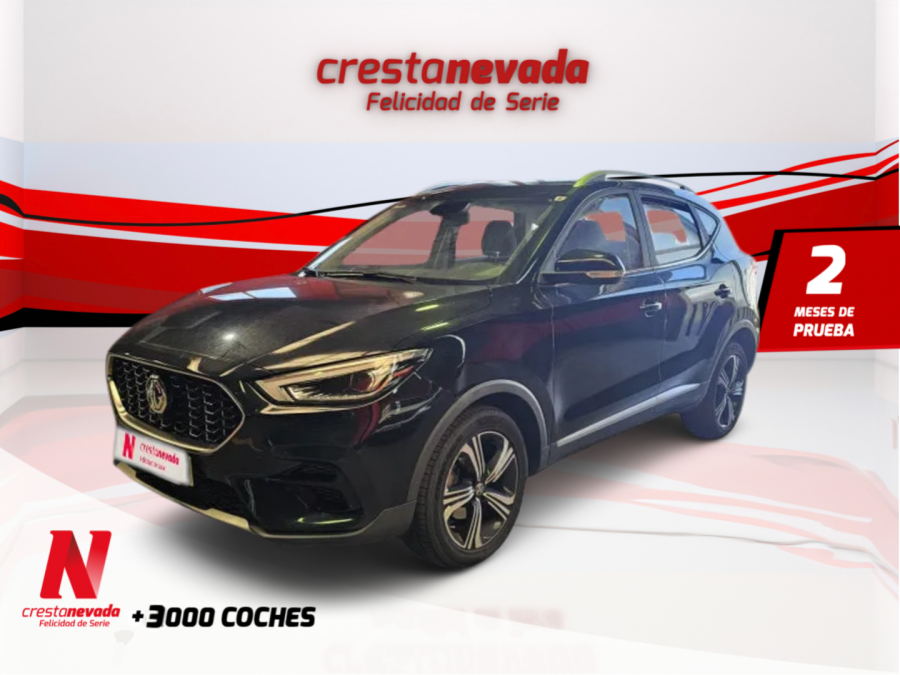 Imagen de Mg ZS