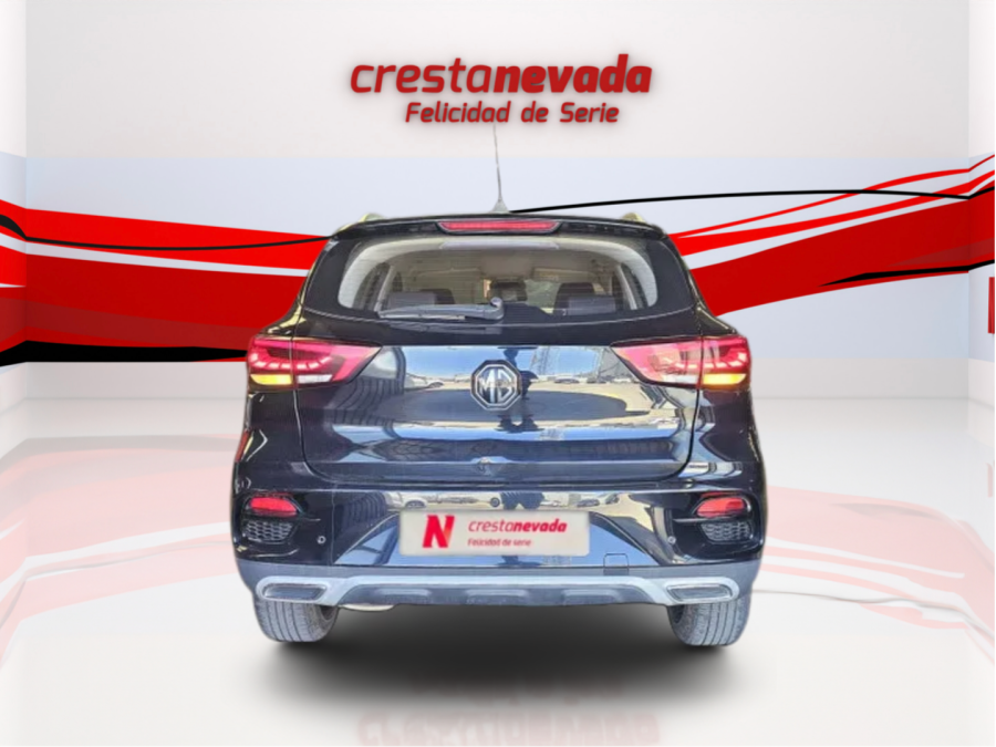 Imagen de Mg ZS