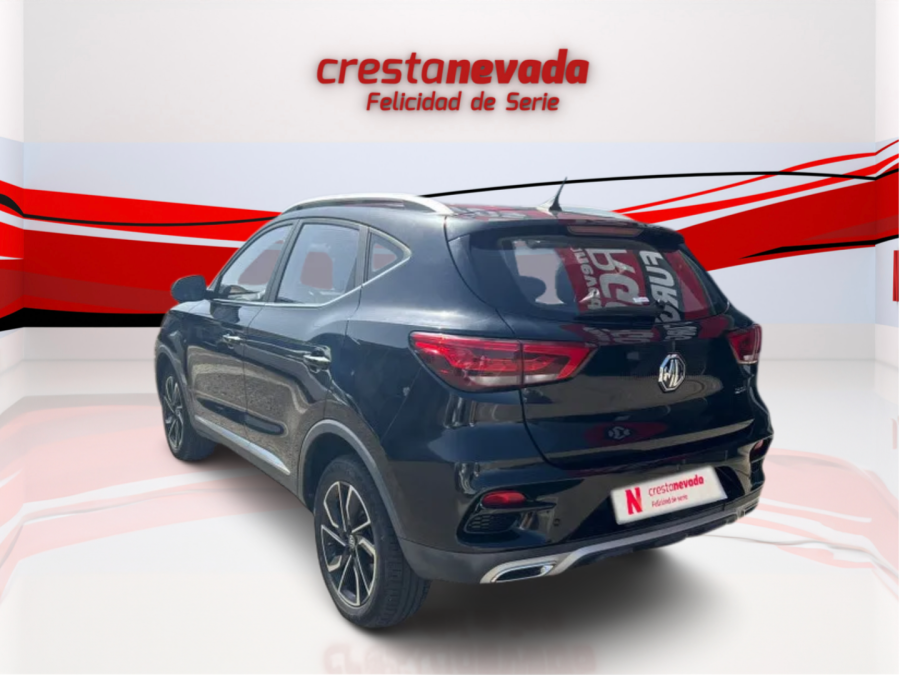 Imagen de Mg ZS