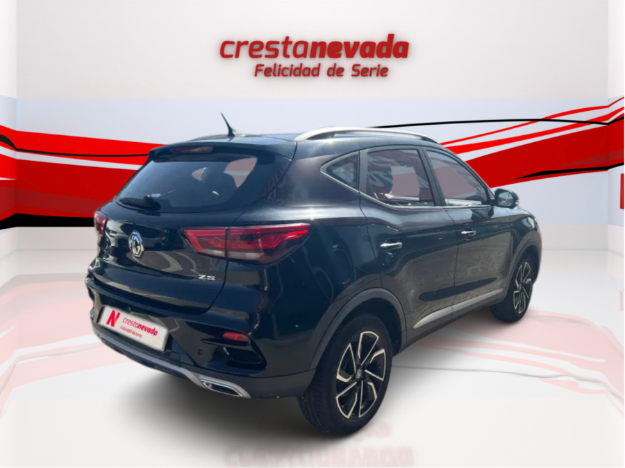 Imagen de Mg ZS