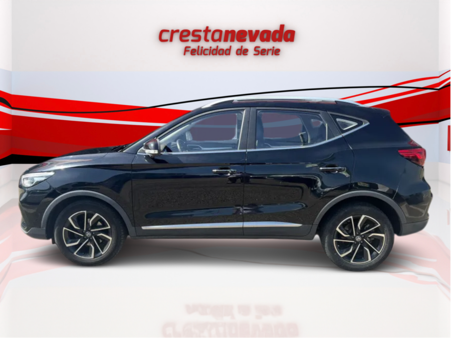 Imagen de Mg ZS