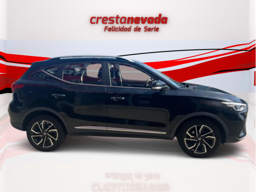 Imagen de Mg ZS