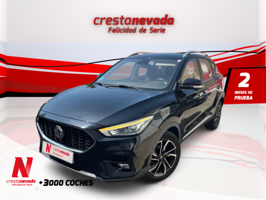 Imagen de Mg ZS
