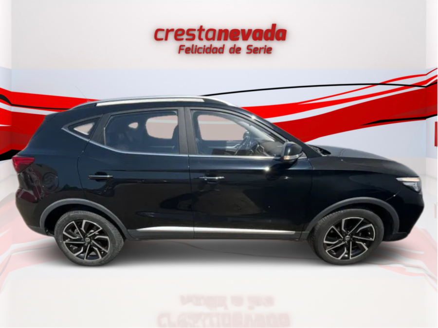 Imagen de Mg ZS