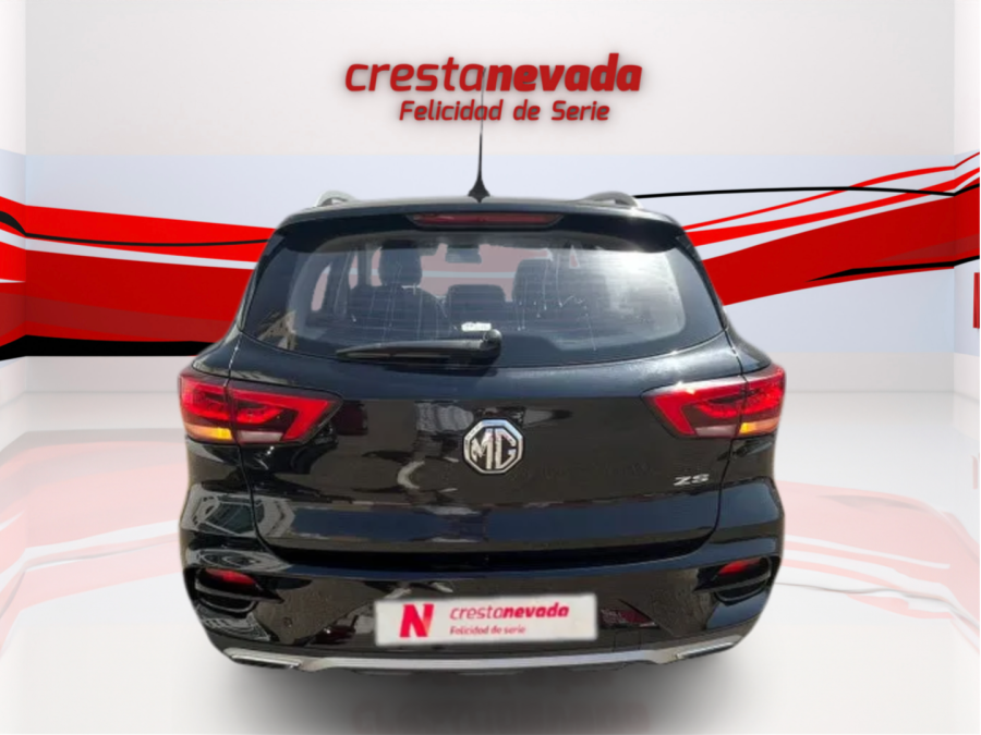 Imagen de Mg ZS