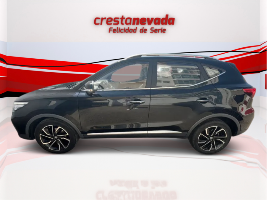 Imagen de Mg ZS