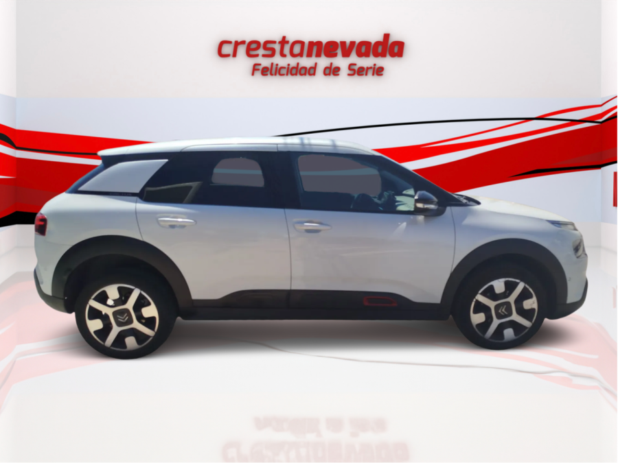 Imagen de CITROEN C4 Cactus
