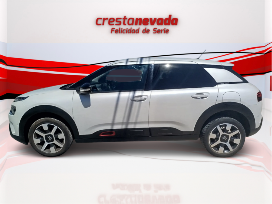 Imagen de CITROEN C4 Cactus