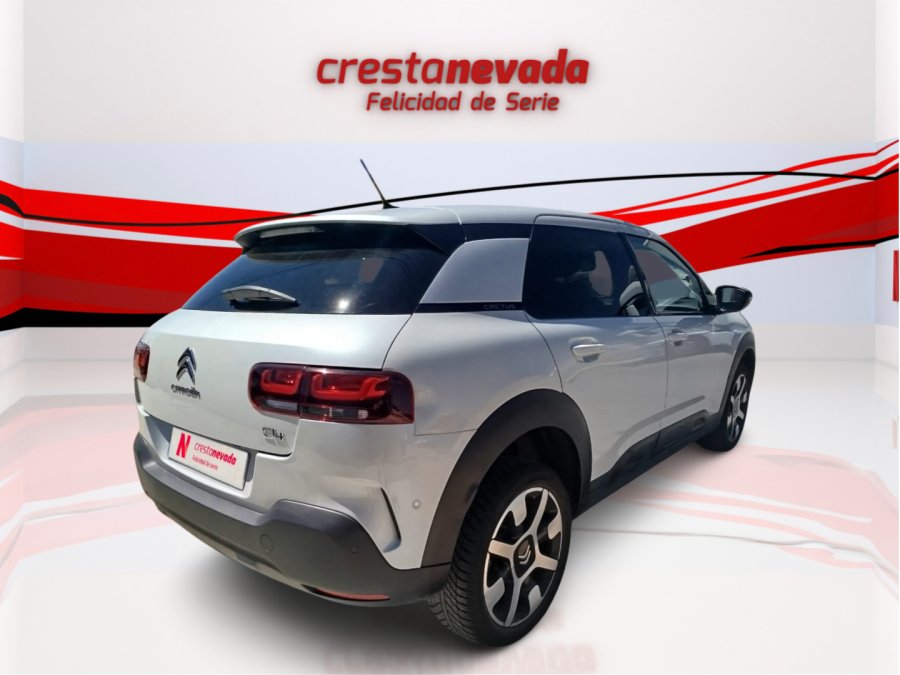 Imagen de CITROEN C4 Cactus