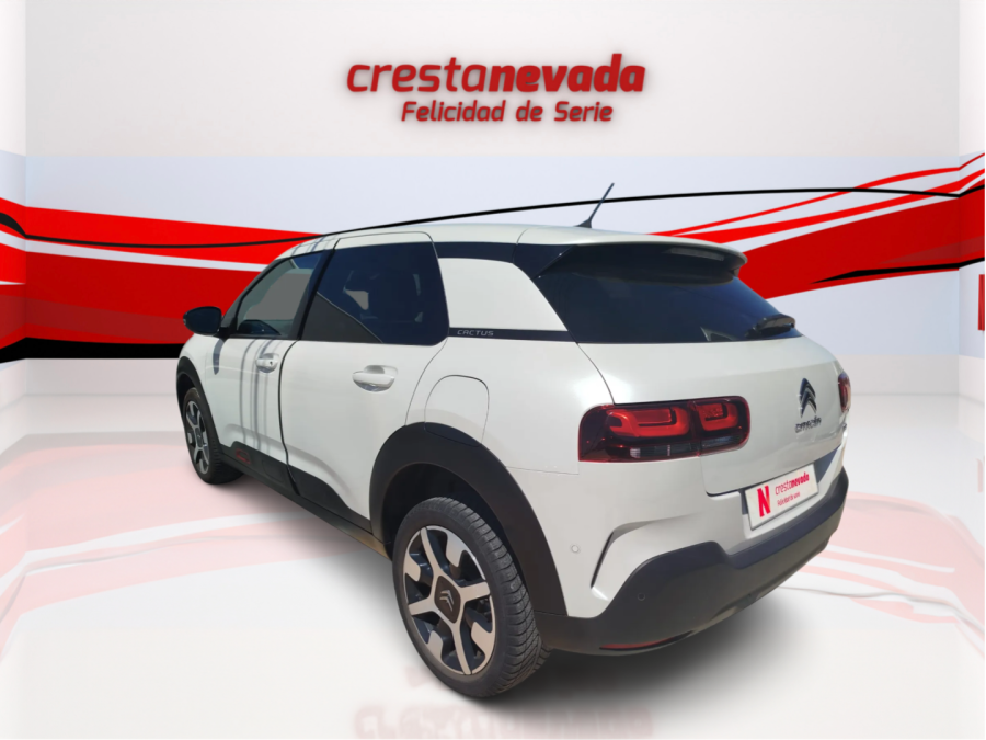 Imagen de CITROEN C4 Cactus