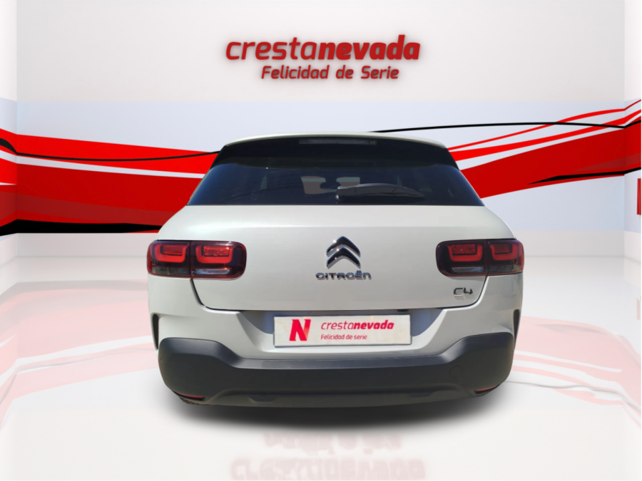 Imagen de CITROEN C4 Cactus