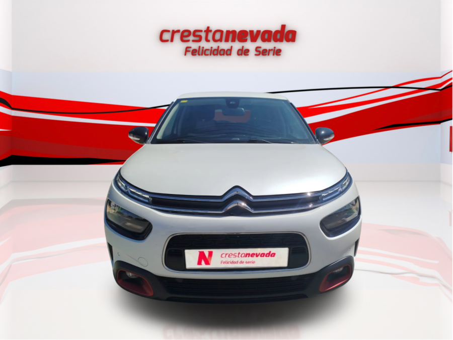 Imagen de CITROEN C4 Cactus