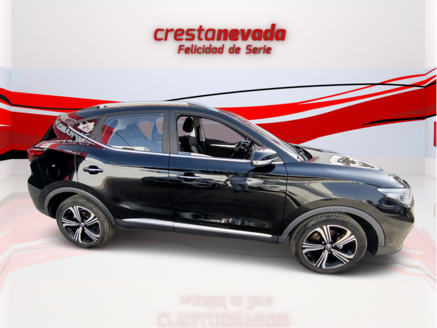 Imagen de Mg ZS