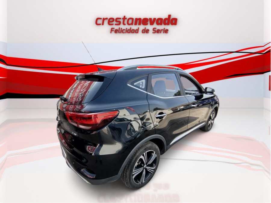 Imagen de Mg ZS