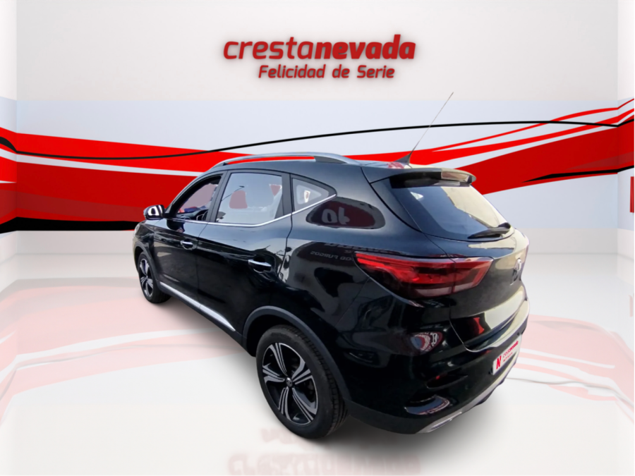 Imagen de Mg ZS
