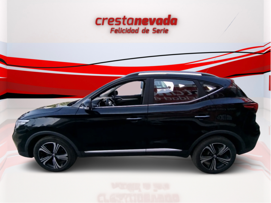 Imagen de Mg ZS