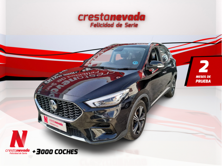 Imagen de Mg ZS