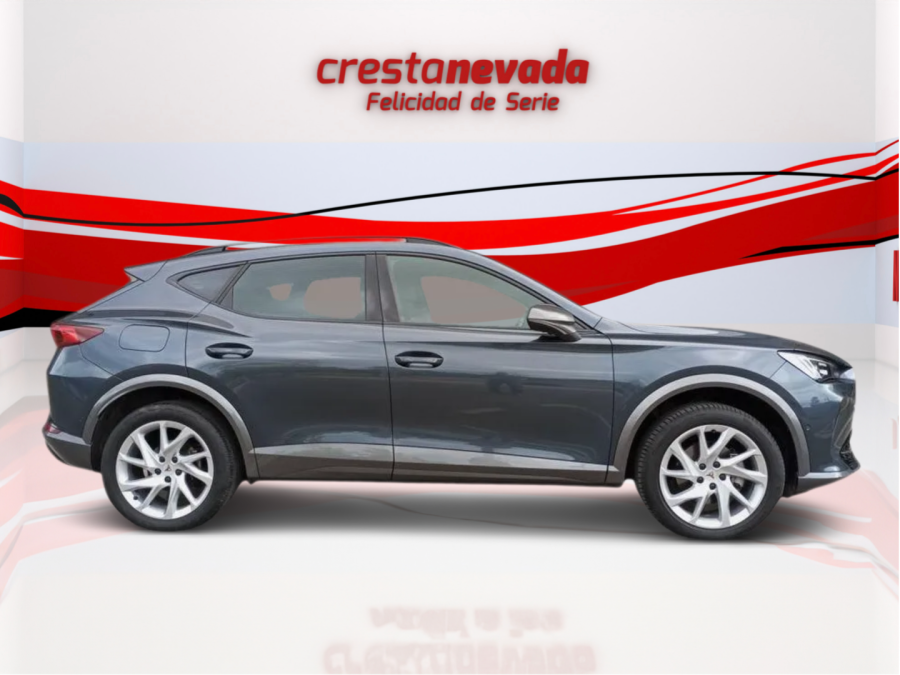 Imagen de cupra Formentor