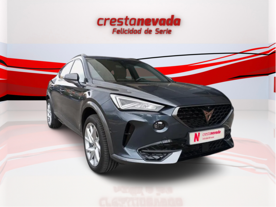 Imagen de cupra Formentor