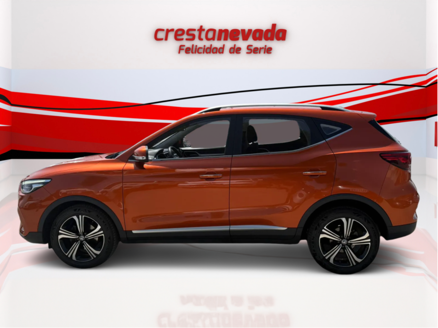 Imagen de Mg ZS