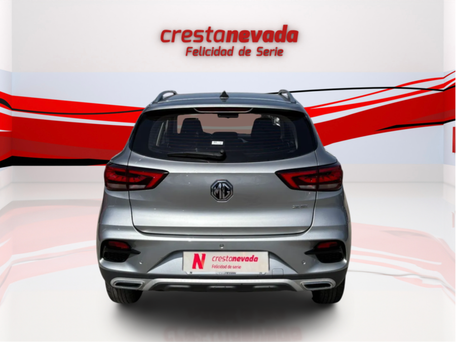Imagen de Mg ZS