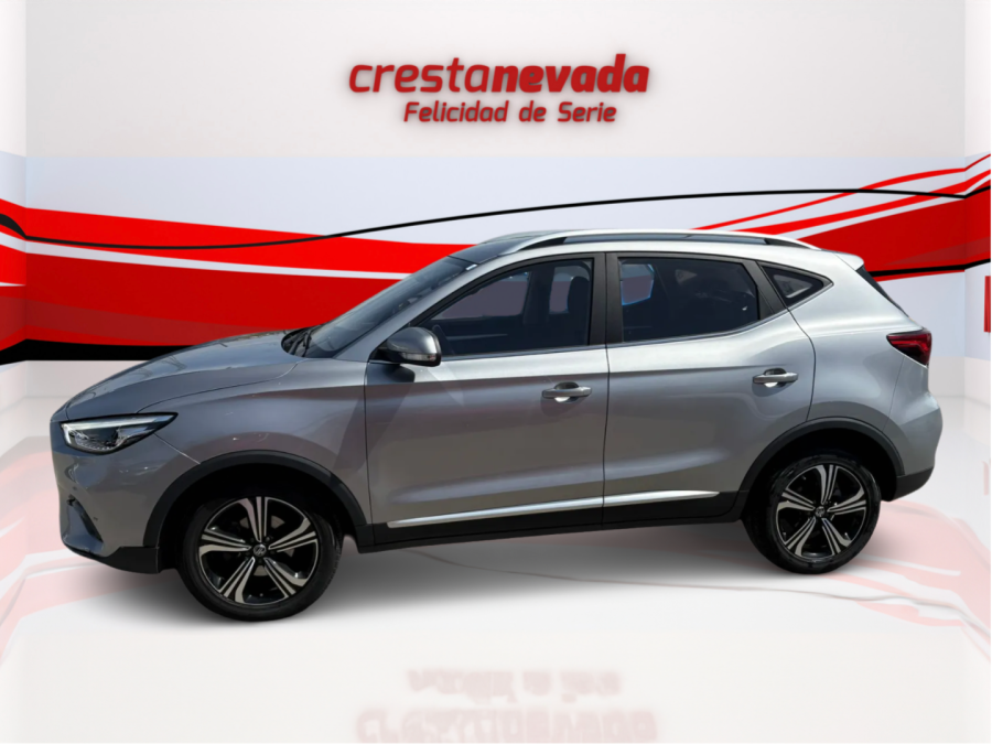 Imagen de Mg ZS