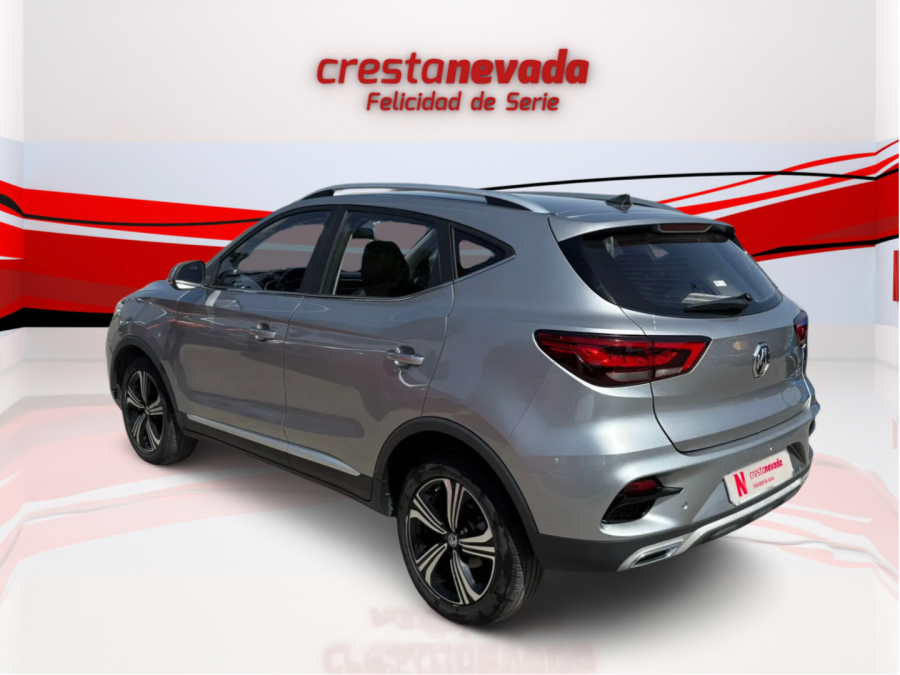 Imagen de Mg ZS