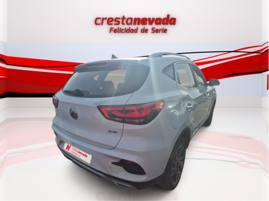 Imagen de Mg ZS