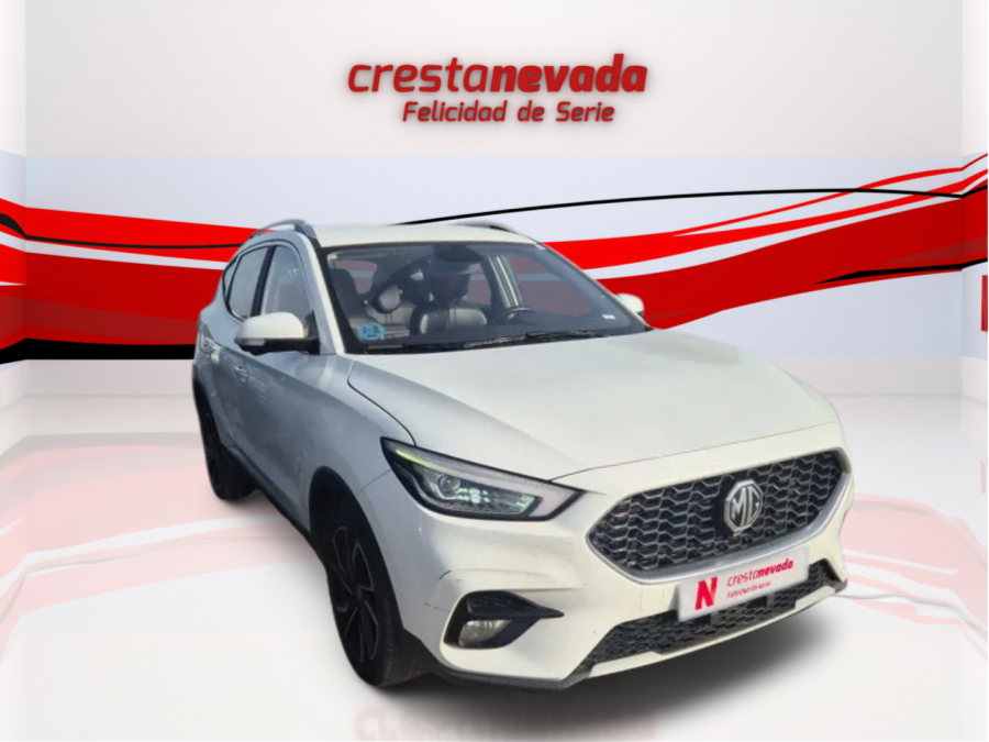 Imagen de Mg ZS