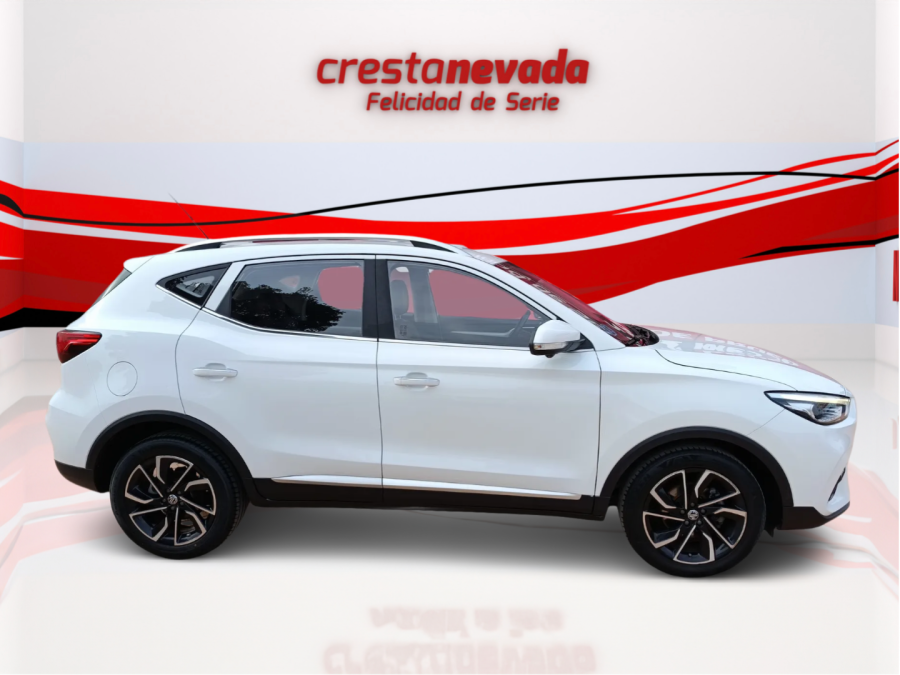 Imagen de Mg ZS