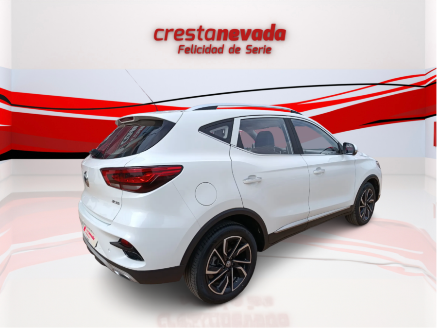 Imagen de Mg ZS