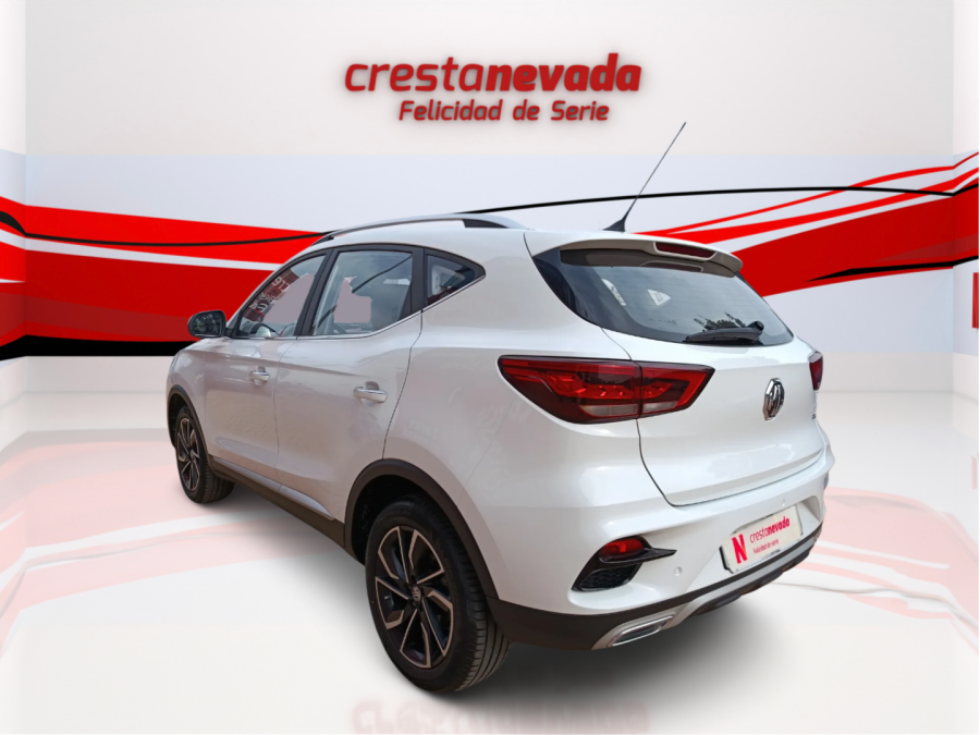 Imagen de Mg ZS