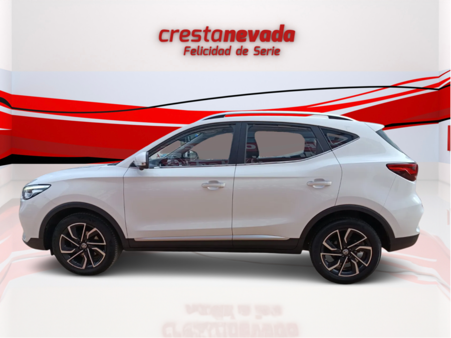 Imagen de Mg ZS
