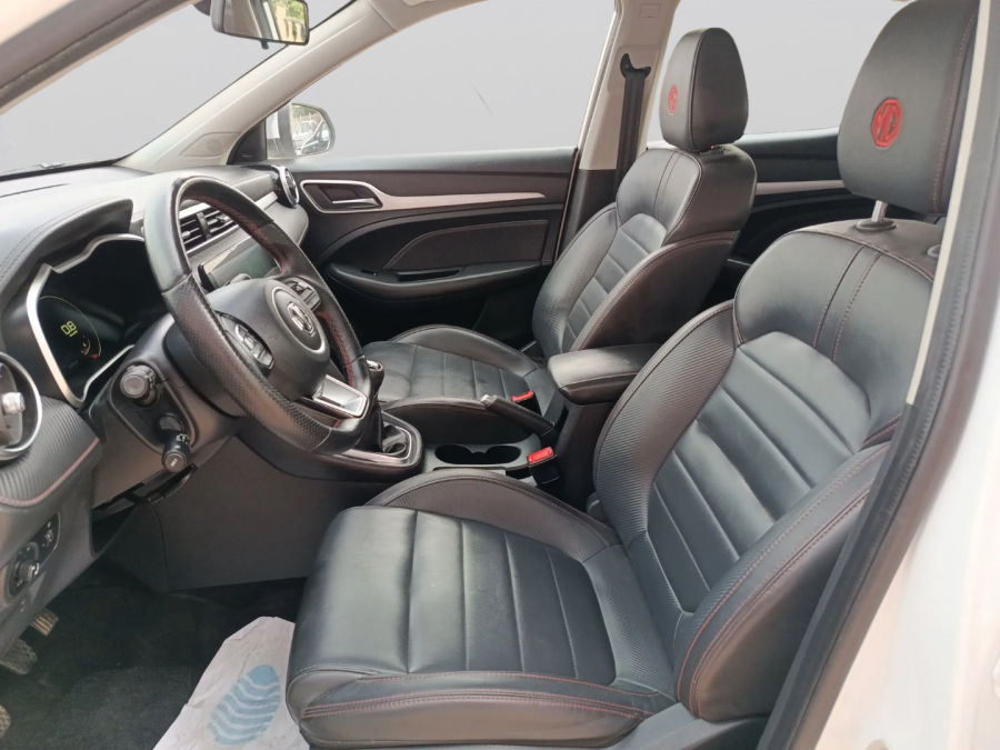 Imagen de Mg ZS