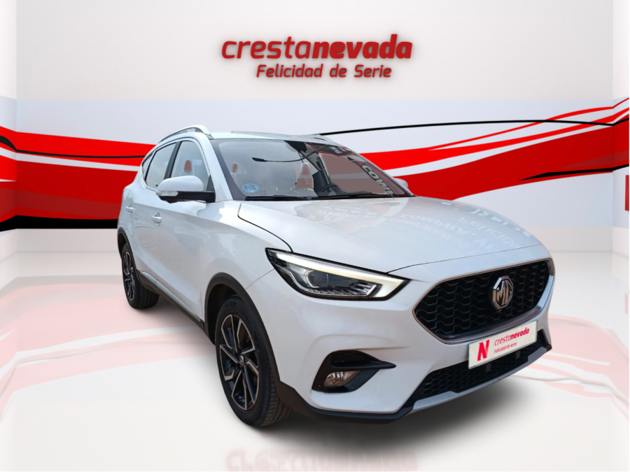 Imagen de Mg ZS