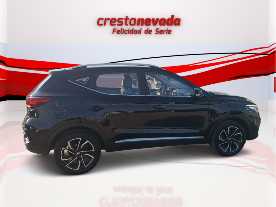 Imagen de Mg ZS