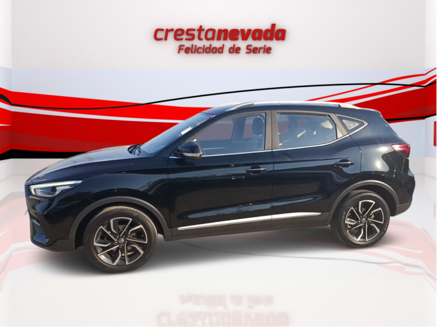 Imagen de Mg ZS