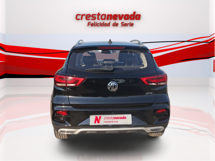 Imagen de Mg ZS