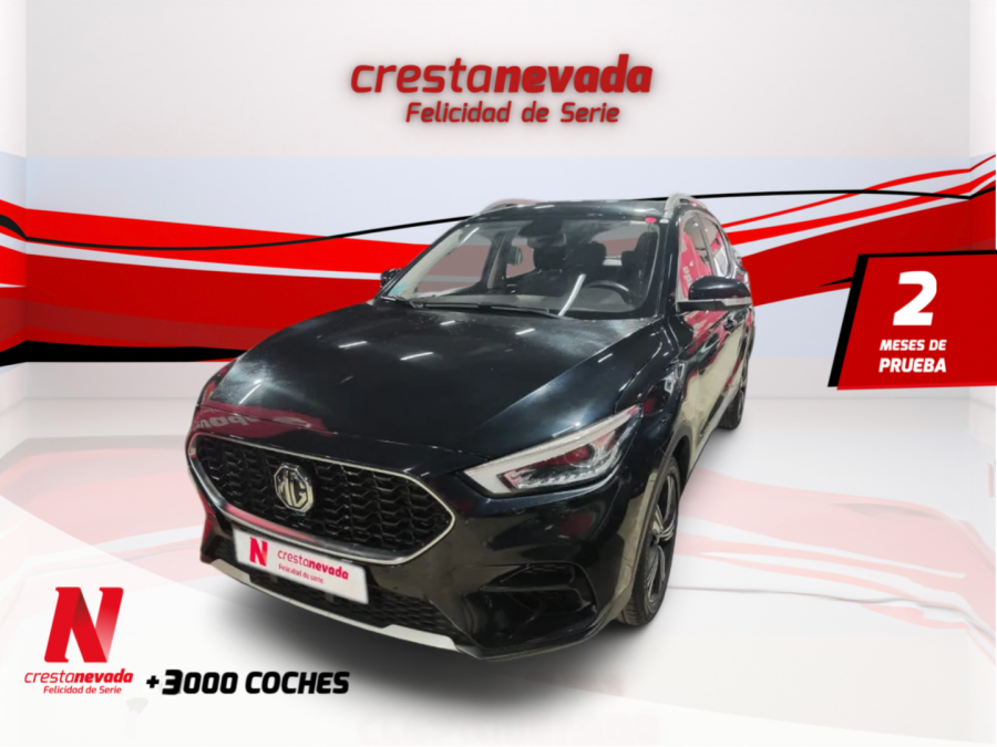 Imagen de Mg ZS