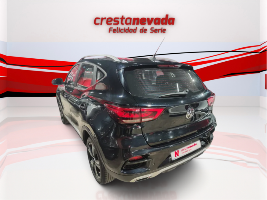 Imagen de Mg ZS