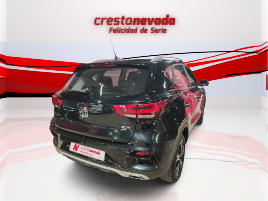 Imagen de Mg ZS