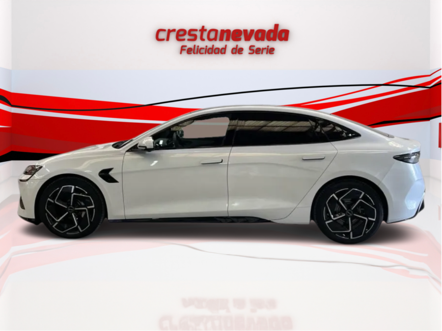Imagen de byd Seal