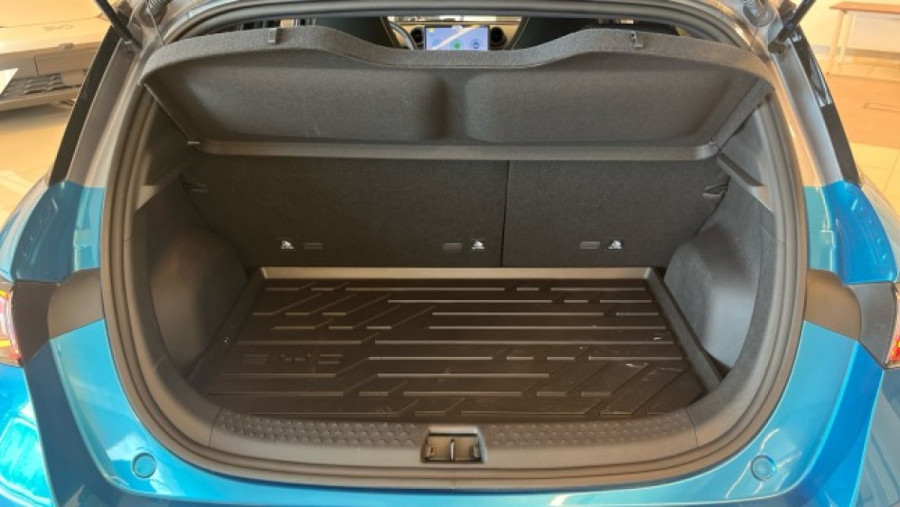 Imagen de byd Dolphin