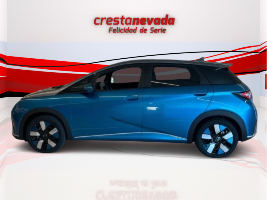 Imagen de byd Dolphin