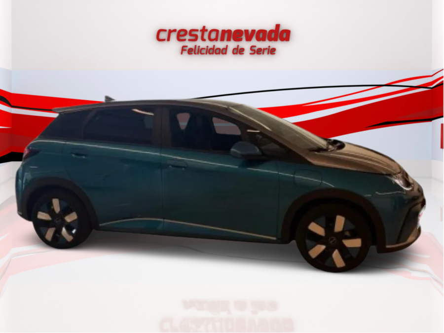 Imagen de byd Dolphin