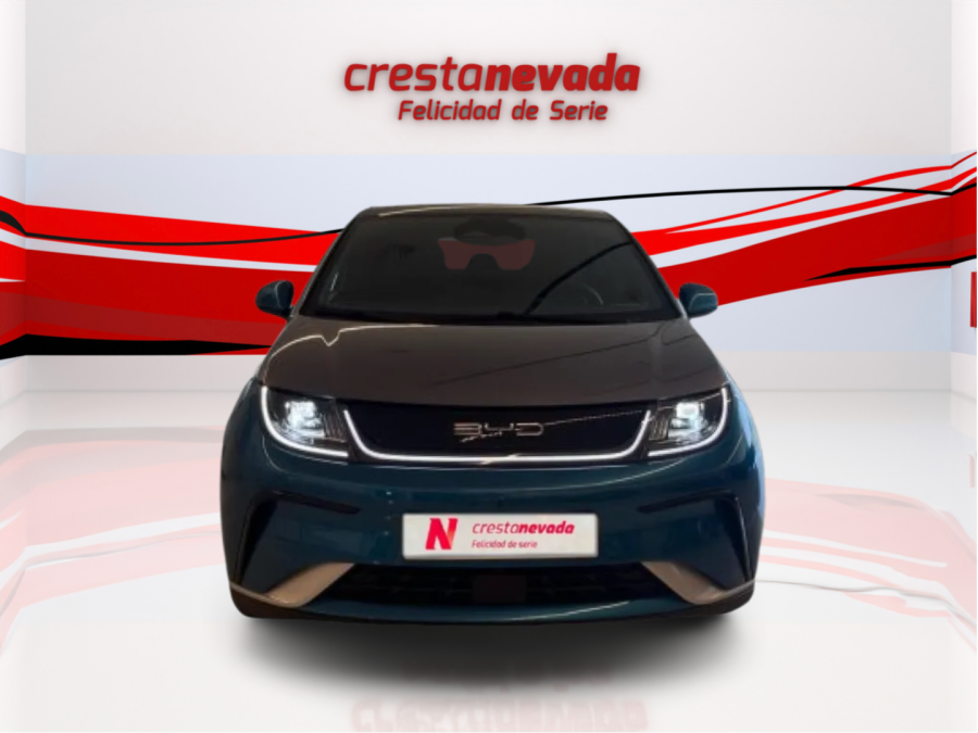 Imagen de byd Dolphin