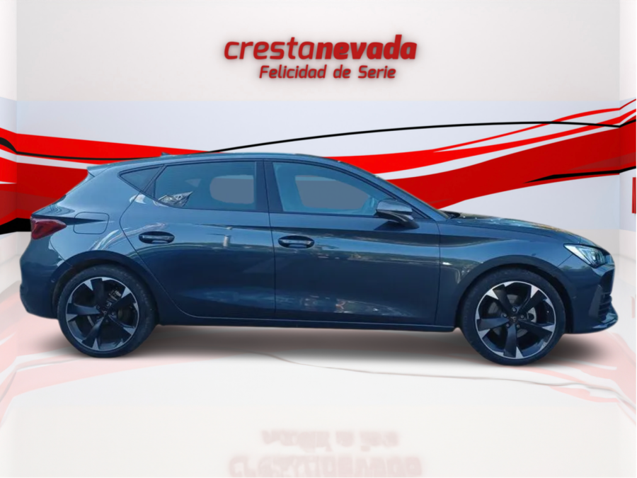 Imagen de cupra León