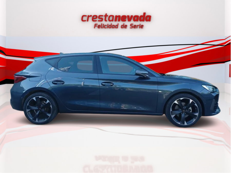 Imagen de cupra León
