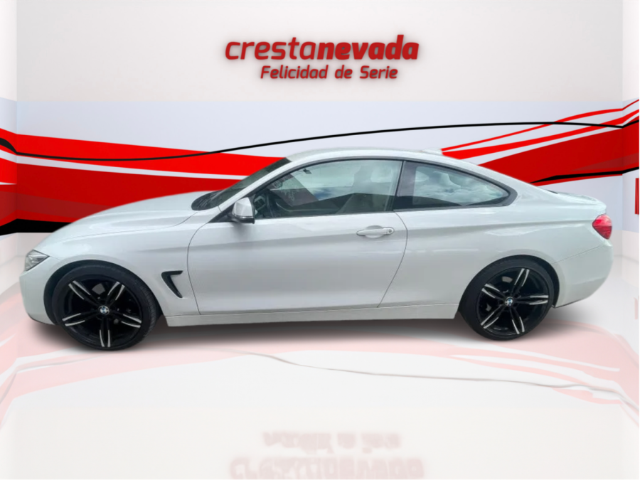 Imagen de BMW Serie 4
