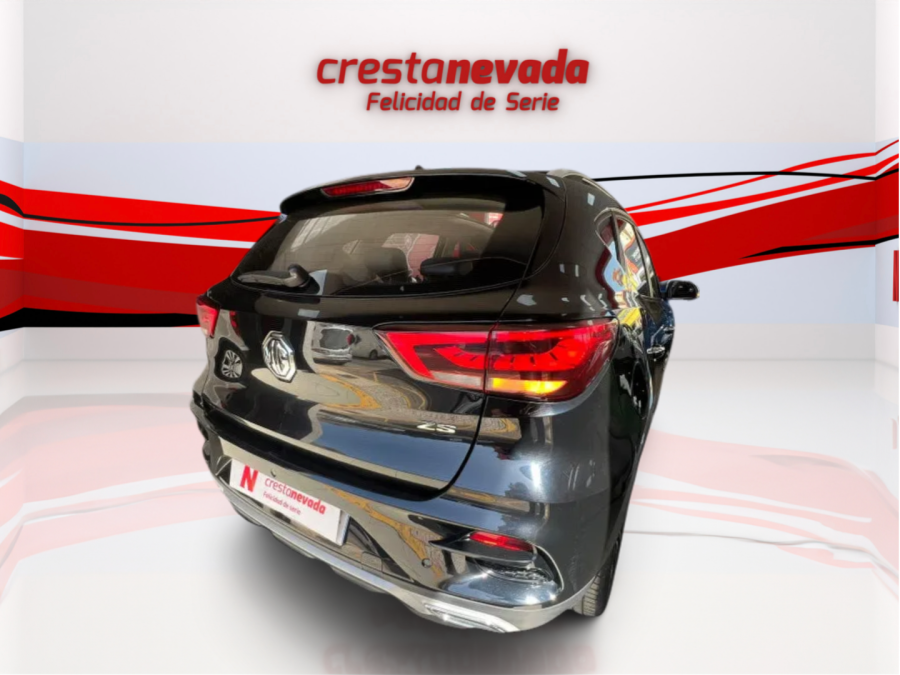 Imagen de Mg ZS